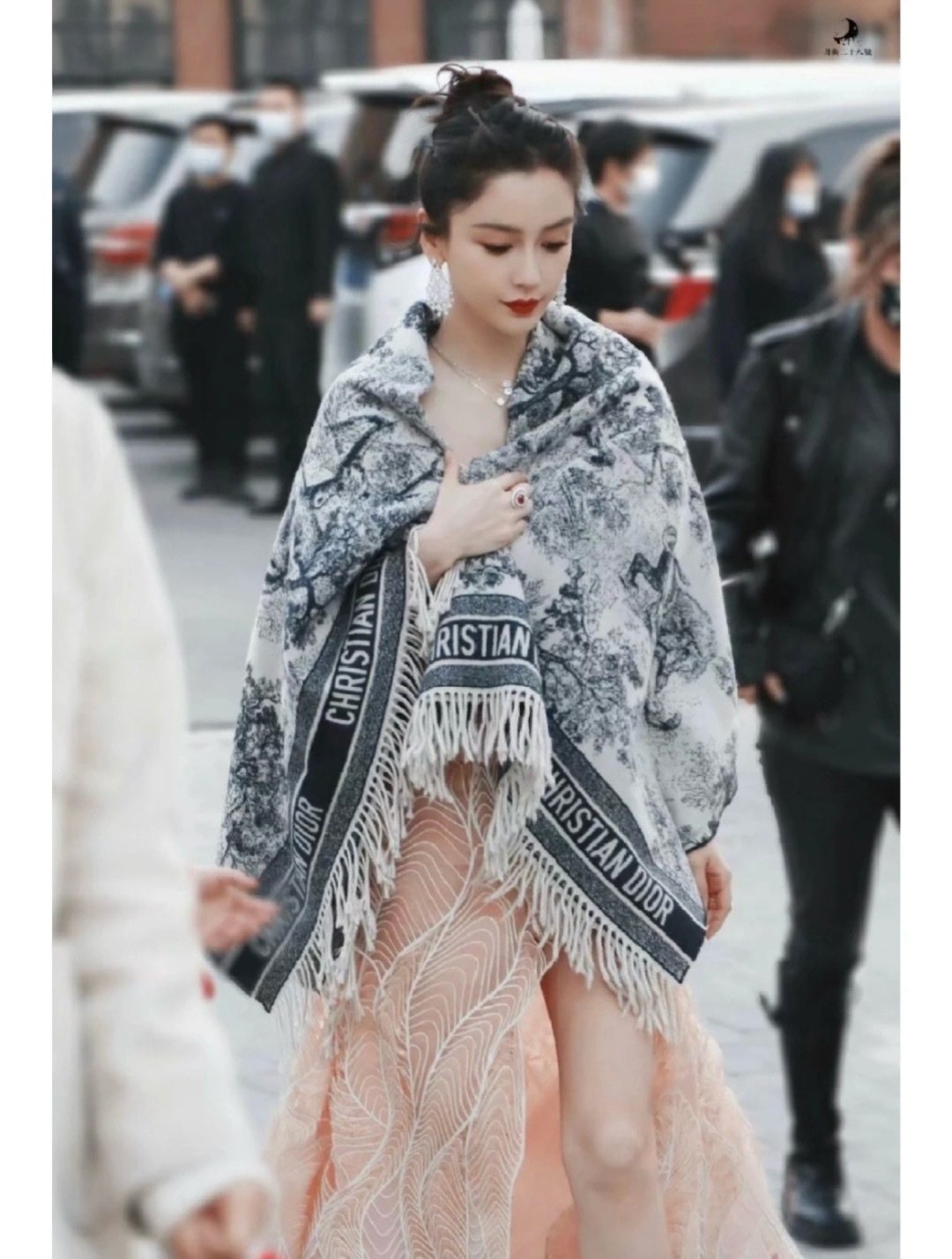 Dior Animal Jacquard Fringed Scarf